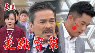 天道 EP194預告｜麗萍揪出江家在搞鬼！超強替父親擔罪 當場下跪遭巴蕊@setdramatw