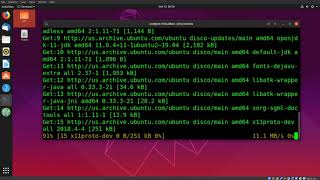 Install Java Runtime Environment In Ubuntu 18 & 19