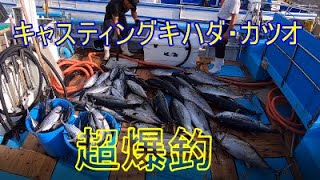 【超爆釣】キハダ・カツオてんこ盛り釣行