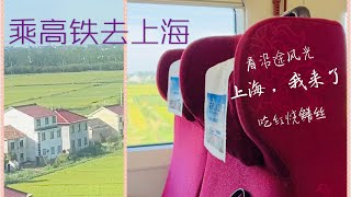 独自乘坐高铁到上海 沿途风光看不够 旅游团安排接车和住宿 Travel to Shanghai by Highspeed Train