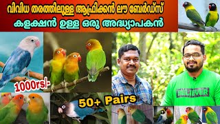 തിരുവനന്തപുരത്ത് വിദേശ ഇനം പക്ഷികളെപരിപാലിക്കുന്നതിലൂടെ ആനന്ദം കണ്ടെത്തുന്ന ഒരു അദ്ധ്യാപകൻ|| Birds