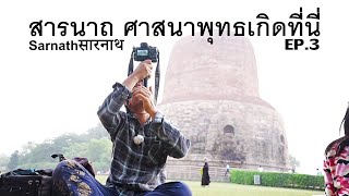 🇮🇳EP.3 Sarnath, Buddhism was born here 2023.11.16