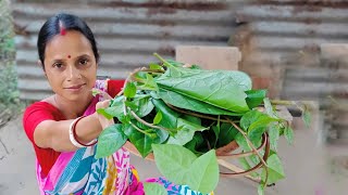 পাঁচ মিনিটের পুঁইশাক রেসিপি|pui shak recipe bengali|villkitchen