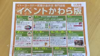 イトーヨーカドー武蔵小金井店　専門店街　イベントかわら版11月号　(小金井市　眼鏡)