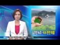 kbs뉴스9 경남 2015.06.27 토 뉴스 전체보기