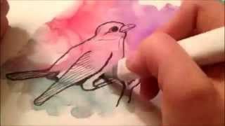 Bird Painting Timelapse