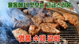 율동 맛집 명품 수제 돼지갈비 🍖 화동생갈비 (Galbi / Korean Food / Korean Pork Ribs)