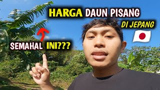 HARGA DAUN PISANG DI JEPANG🇯🇵 || BISA SAMPAI RIBUAN YEN 💴