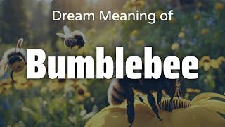 Bumblebee Dream Meaning & Symbolism | Interpretation Psychology