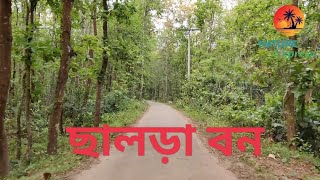 ছালড়া বন || মুক্তাগাছা || ময়মনসিংহ || Salora Forest ||