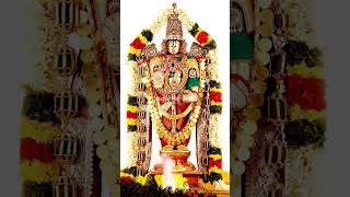 ఏడుకొండలవాడ వెంకటరమణ#lordbalaji #devotional #venkateshwaraswamy @shankarnakka