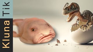 Blob fish versus Dinosaur TASTE TEST   |    ASMR ASMP