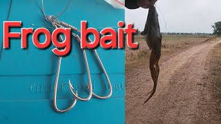 Frog bait. ដេរនុយកង្កែប