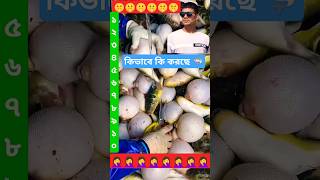 কি ভাবে কি করছে short video. #shortvideo #viralvideo #shorts #trending