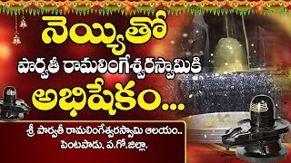 శివునికి నెయ్యితో అభిషేక‌ము | మ‌హాశివ‌రాత్రి | |shiva abhishekam | mahasivarathri | abhishekam