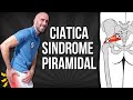 9 EJERCICIOS para la CIATICA POR SINDROME DEL PIRAMIDAL #fisioterapiatualcance