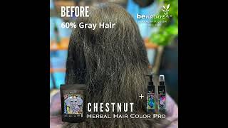 60% Gray hair. Chestnut Benature herbal hair color 栗子色BeNature 草本染髮