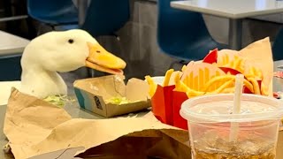 Christmas At McDonald’s 🍟🦆🎄