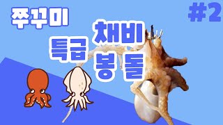 쭈꾸미 낚시 특급 채비와 봉돌, 이제 이것으로 끝내자구요