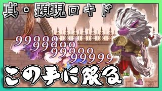 【アナデン】真・顕現ロキド 即殺で草も生えない  ASアザミ＆プライ主体PT攻略!! 【アナザーエデン】【Another Eden】