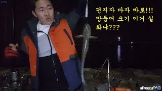 원투낚시 던지자 마자 입질!!!망둥어 크기 실화냐????