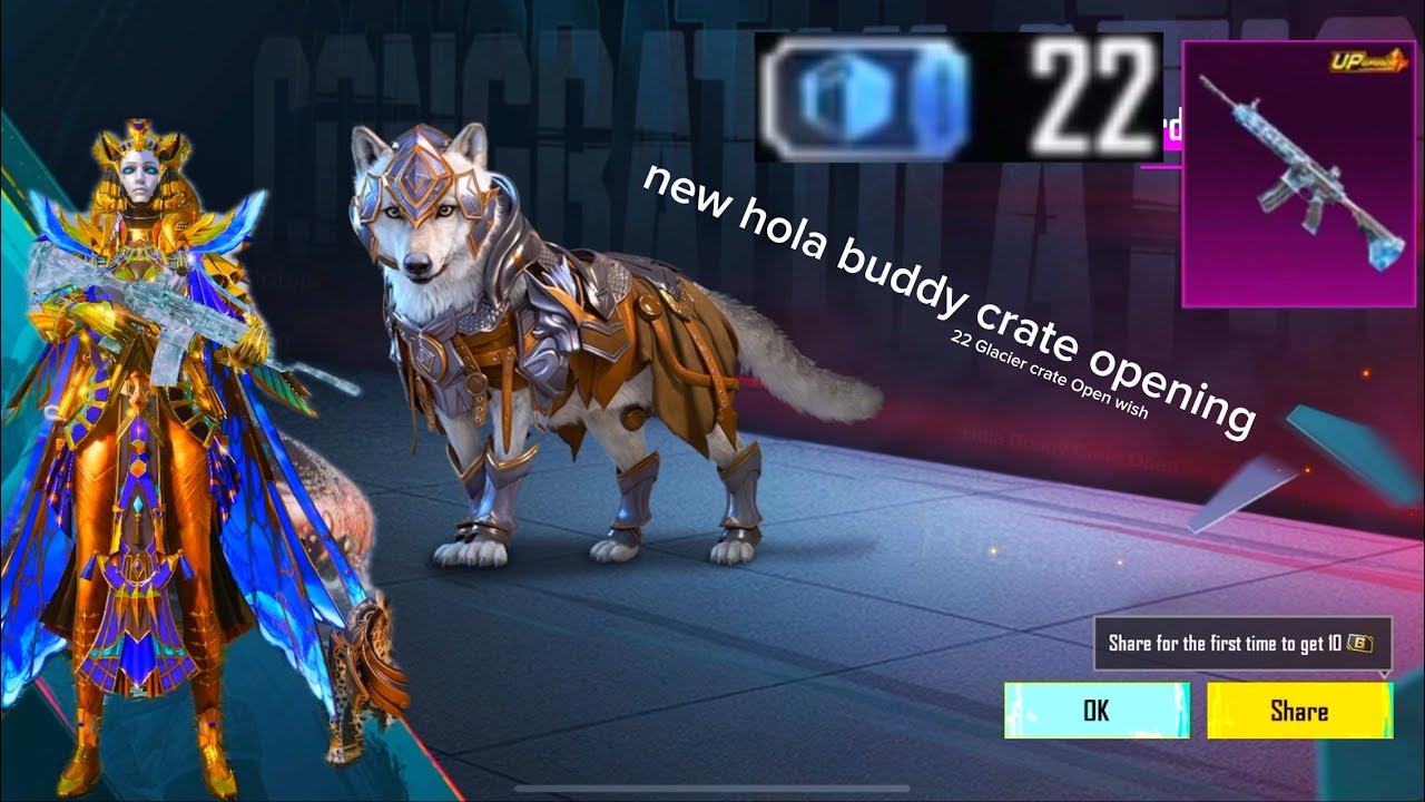 New Hola Buddy Crate Opening Youtube