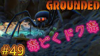 【Grounded】超強力毒をもつアイツにやっと‥‥！昆虫裏庭冒険サバイバル！グラウンデッド！正式版 [#49]