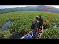 otw panen raya, Rela menerobos hektaran eceng gondok demi ikan mubal mabul di sebrang danau