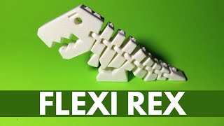Flexi Rex 3D Printed (FUN TOY) - Tutorial, Print Settings, Time Lapse, Showcase