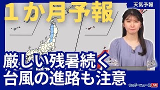 気象庁1か月予報　この先も厳しい残暑が続く　台風の進路にも注意