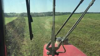 Fall tillage--Red Clover to Wheat