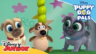 Stuffing a New Toy Ruff | Puppy Dog Pals 🐶 | Disney Junior Arabia