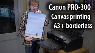 Canon PRO-300 printing a borderless A3+ (13\