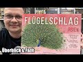 Flügelschlag Asien (Feuerland) - 2er Spiel + Erweiterung + Spiel für bis zu 7 Personen