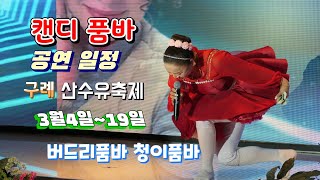 #캔디품바#공연일정#구례 산수유축제# 3월4일~19일까지 장소: 전남 구례군 산동면 지리산 온천로243 (동우상사 주유소)