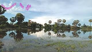 ទេសភាពវាលស្រែ ស្រស់ស្អាត / Beautiful Rice field landscape for relaxing at the weekend