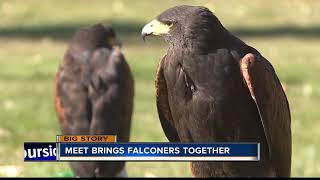 Falconry a 4,000-year-old sport thrives in Idaho