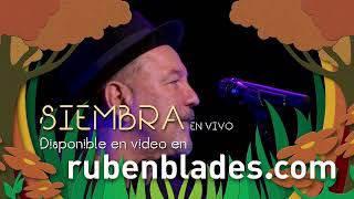 SIEMBRA en VIVO | TRAILER