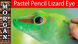 Soft Pastel - Pastelmat - Lizard Eye  @wildlifeartjm​