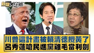 川普這計畫被賴清德攪黃了 呂秀蓮嗆民進黨雞毛當利劍【新聞大白話】20241216-3｜鄭村棋 李勝峰 李明賢