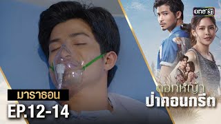 ดอกหญ้าป่าคอนกรีต (รีรัน) EP 12-14 ดูกันแบบยาวๆ | oneมาราธอน | one31