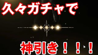 【鳴潮】久々にガチャを引いたら・・・神引きでした【Wuthering Waves】