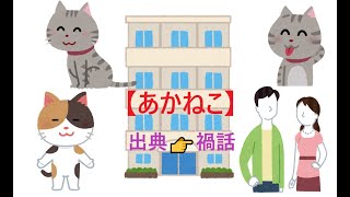 【あかねこ】出典👉禍話X　第二夜   禍話 @magabanasi   ツイキャス