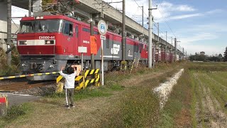 たくさんの貨物列車金太郎と電車にバイバイ(1)