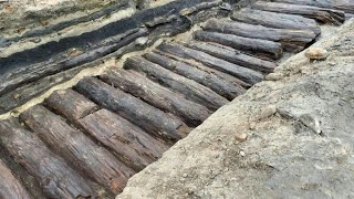 800 Jahre alter Bohlendamm in Berlin begeistert Archäologen | AFP