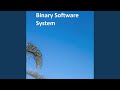 Binary Software System