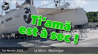 #171 - Ti’amā est encore au chantier !