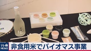 非食用の米でバイオマス事業で提携（2021年3月12日）