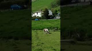 Countryside UK 🇬🇧انگلینڈ میں زندگی