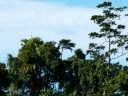 Sunset and the Rainforest (Images Cairns Area)